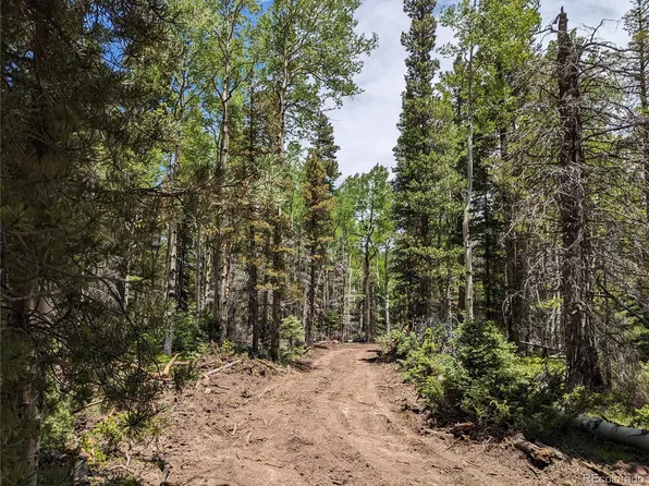 2904 Henderson Drive, Fort Garland, CO 81133