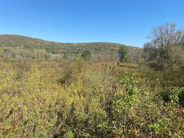 0 W Cuba Rd, Cuba, NY 14727