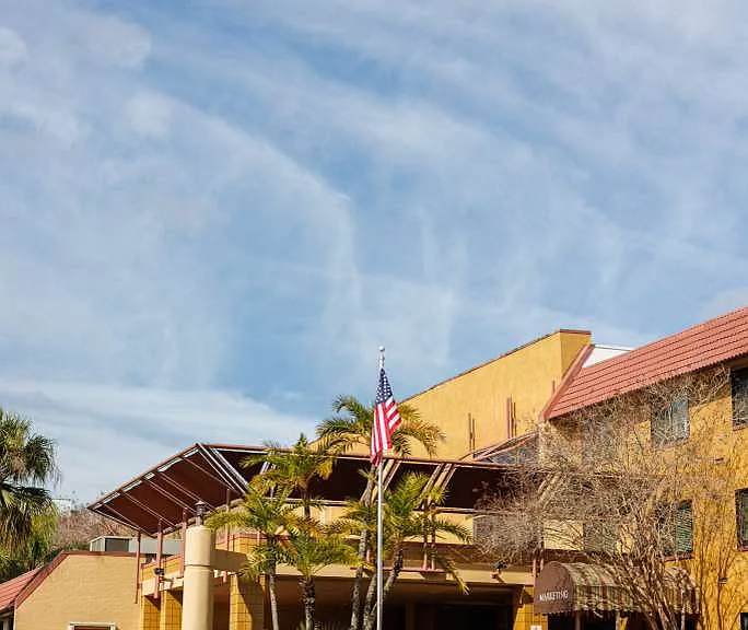 Blue Palms at Fletcher — Photo 16