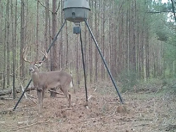 0 Mount Zion Rd, Magee, MS 39111