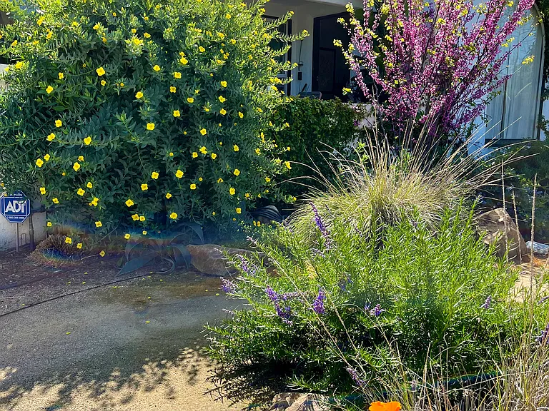 1852 S Redondo Blvd — Photo 30