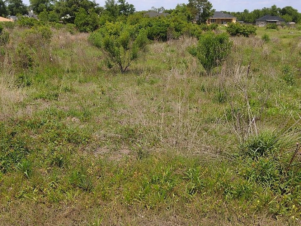 2nd image of Lake Land St