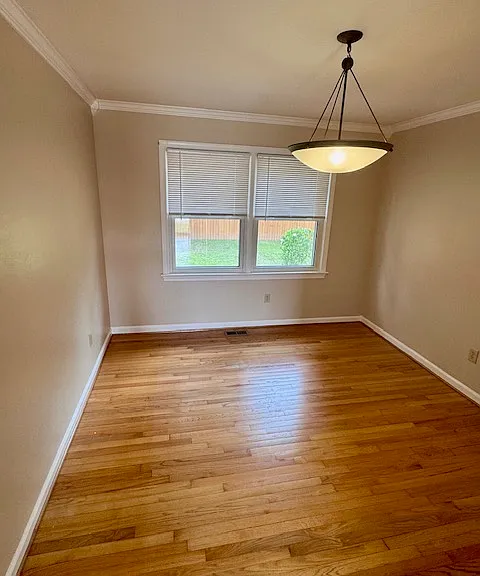 825 Ventnor Dr — Photo 16