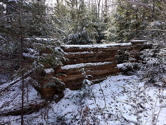 Ruins of old log cabin.