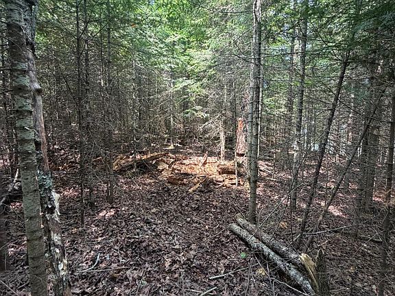 4th image of LOT 2 S Gull Lake Rd NE