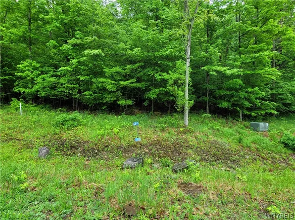 0 County Road 24 #12, Swain, NY 14884