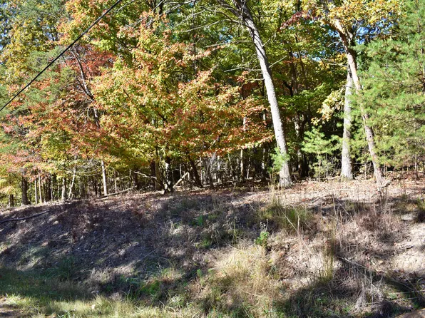 0 Lake Forest Dr Lot 72, Spring City, TN 37381
