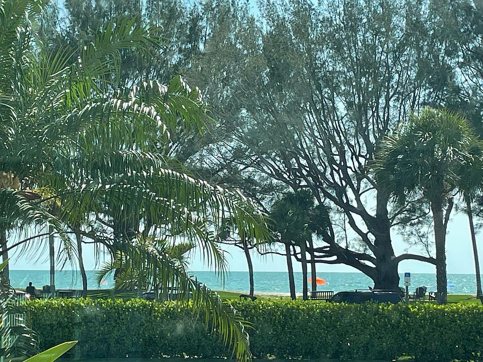 View from the living room.