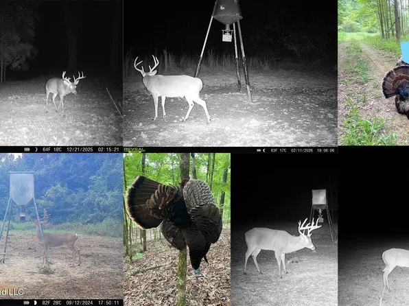 2484 Freeman Rd, Fayette, MS 39069