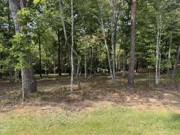 LOT 39 Tall Pine Trl, Mineral Bluff, GA 30559
