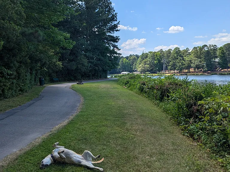 Happy doggo by Regency Lake