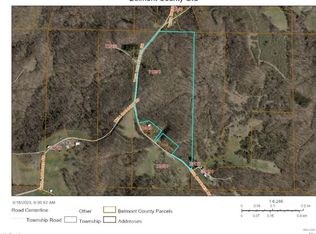 71891 Briar Van Fossen Briar Hl #&-0, Piedmont, OH 43983