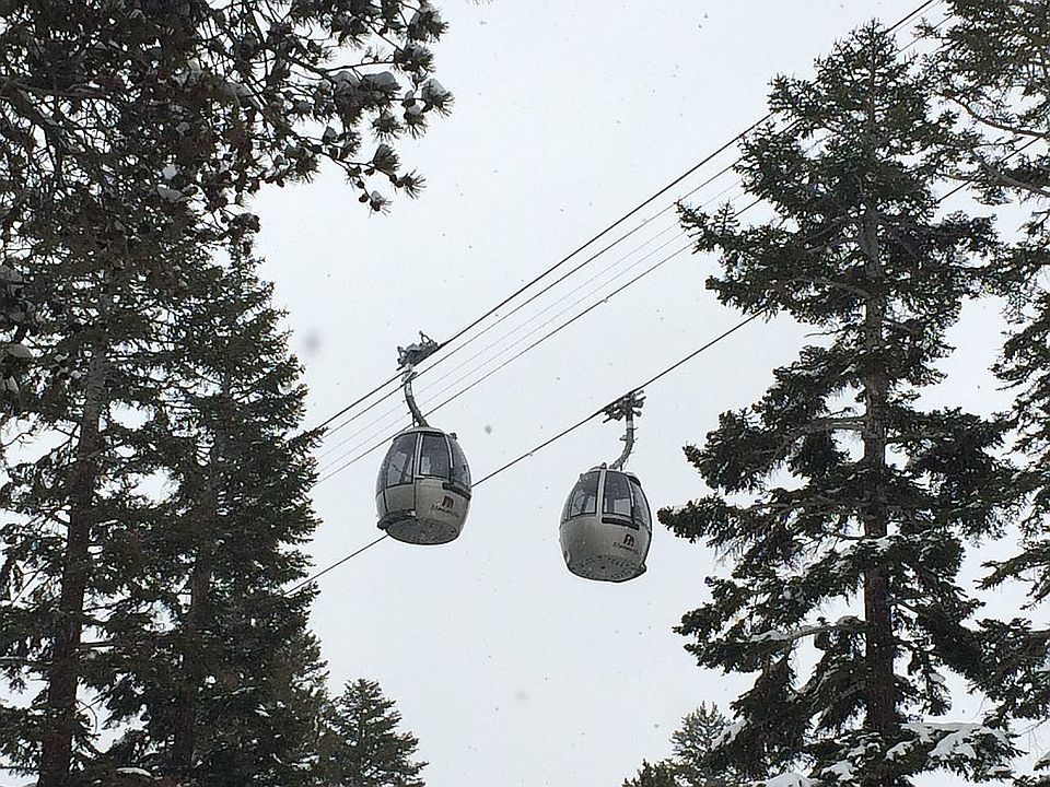 2nd image of 175 Mammoth Slopes Dr #6