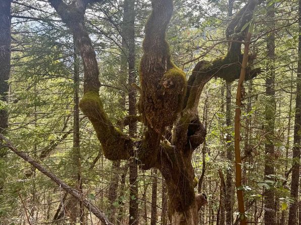122 Acres Off Usfs Rd #46N76, Happy Camp, CA 96039