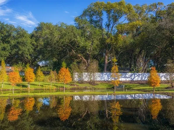 920 Oak Stone Dr, Tampa, FL 33613