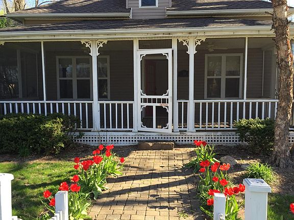 Path with Tulips in Spring