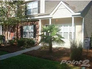 shadow oak-1