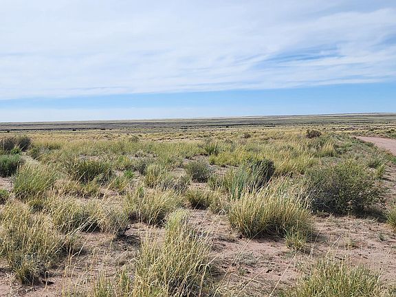 2nd image of PARCEL 104 38 #12