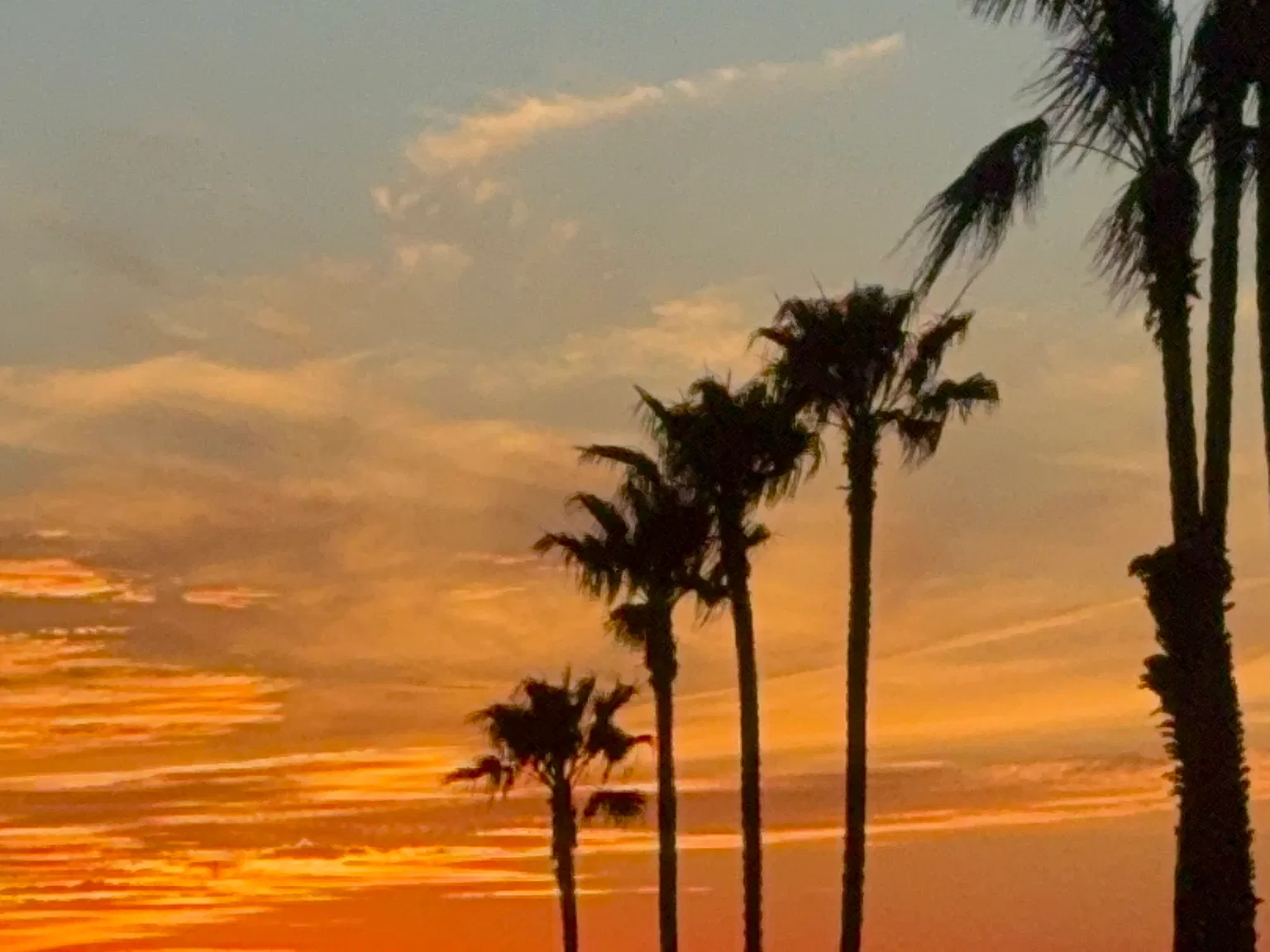 Palomar Ave, La Jolla — Photo 2