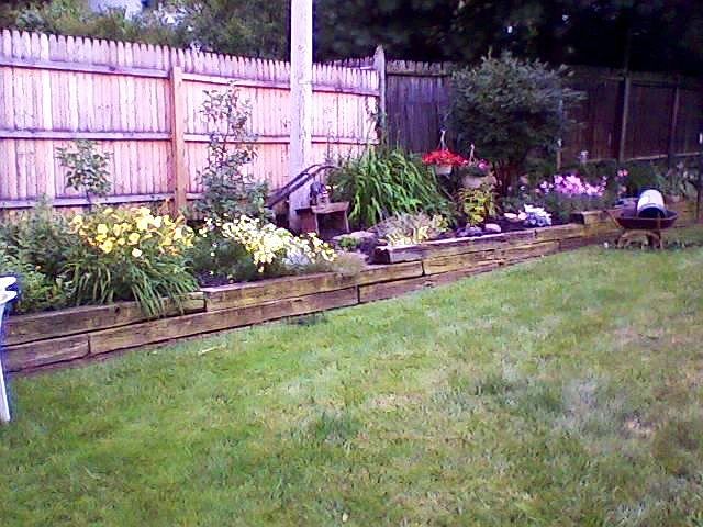 Park-like Back yard