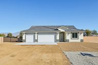 Burning Tree Ct-S2911-001.jpg