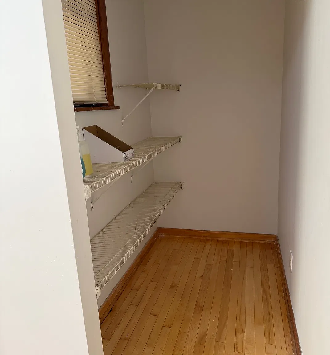 3 bed, 1000 sqft, $2,300 — Photo 2