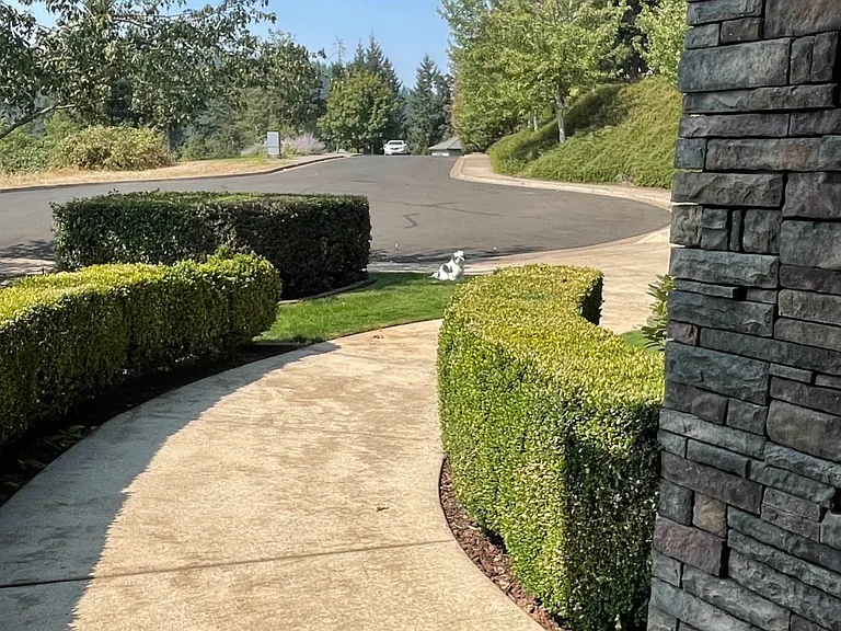 3097 Skyview Ln — Photo 34