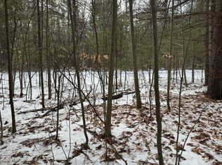 Littlefield Ln, Alanson, MI 49706