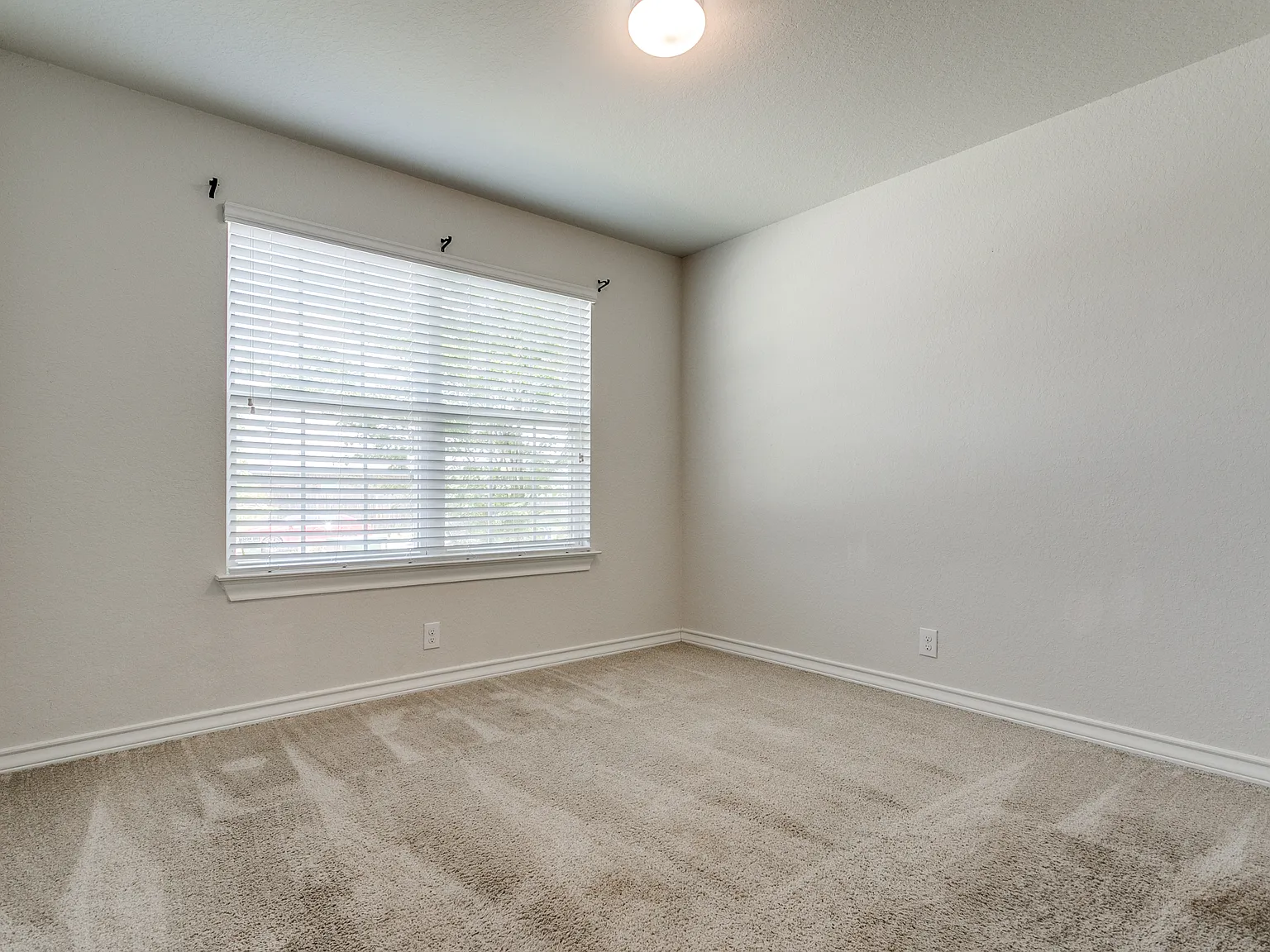 14118 Tyler Point - 1 — Photo 3