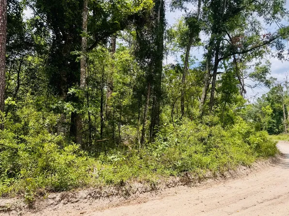 LOT 42 SW 76th Dr, Jasper, FL 32052