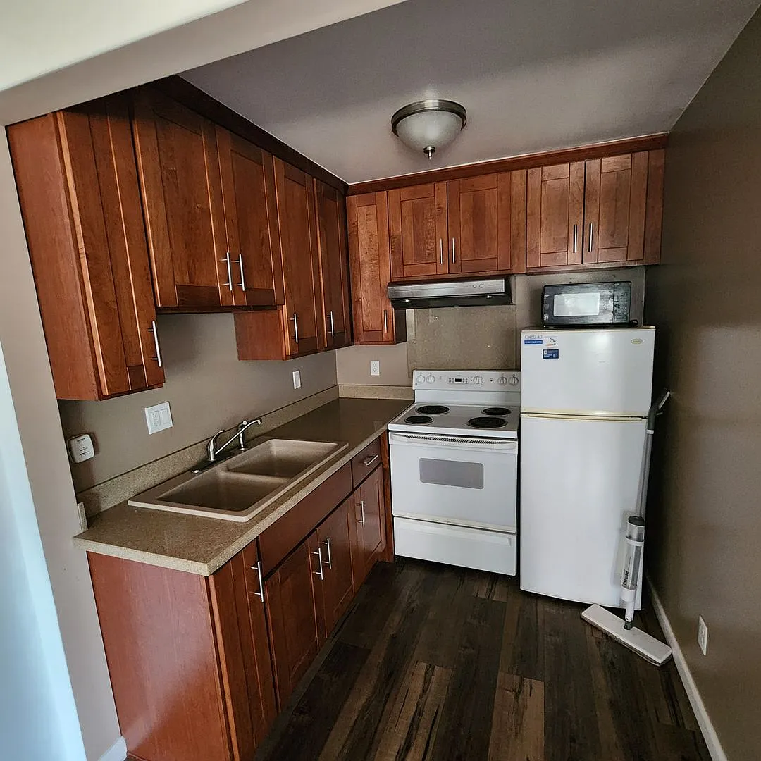 BO113-1133 Bonanza Ave LLC — Photo 4