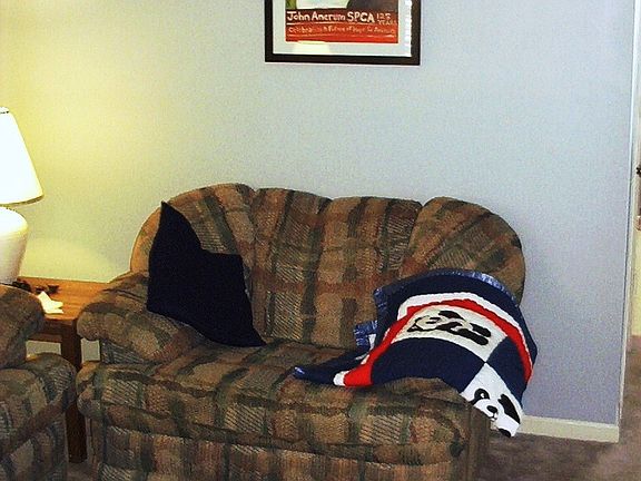 Fully Furnished Living Room