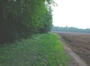 Red Bank Rd, Suring, WI 54174