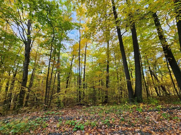 0 Fitzgerald Rd, Burdett, NY 14818