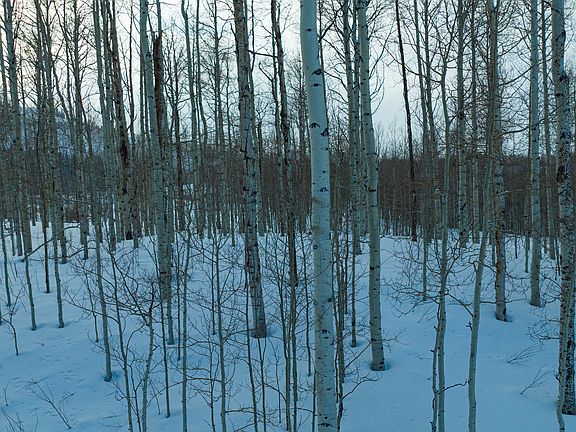 2nd image of 4032 S Buck Way