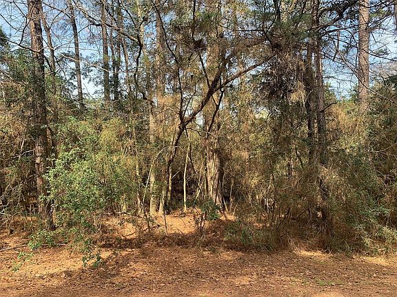 3rd image of 19 Pavlock Rd Lot 19