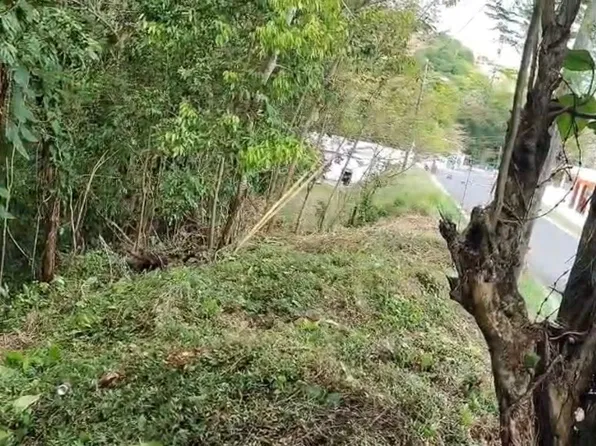 1 Carr 181 Km 11.4 Quebrada Negrito 2, Trujillo Alto, PR 00976