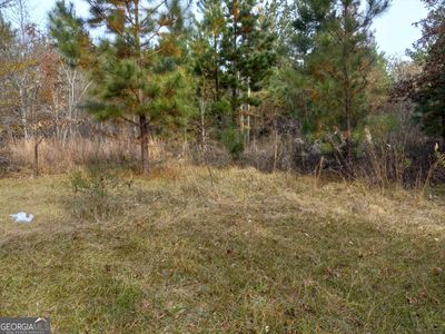 253 Tucker School Rd, Wrightsville, GA, 31096