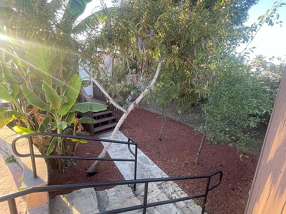 Fruit Trees