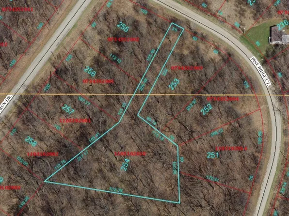 254 Pine Ridge Ct, Dahinda, IL 61428