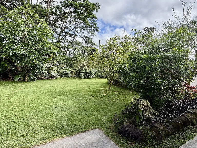 View from front door looking out