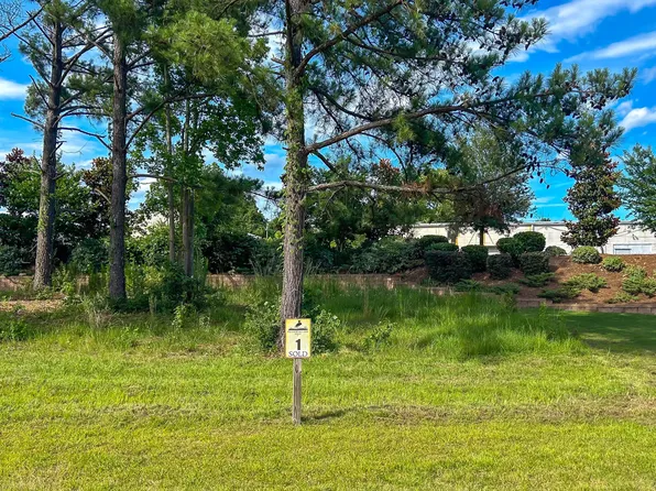 345 Preservation Point Avenue, Wilmington, NC 28401