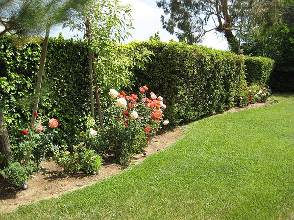 Lovely Gardens