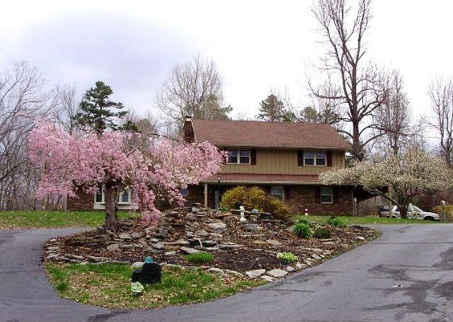1st image of 234 Pine Hill Ln