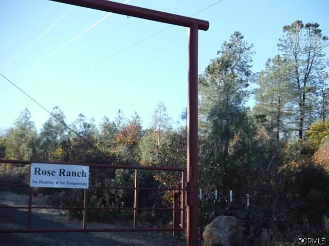 107 Hogan Rd photo 1