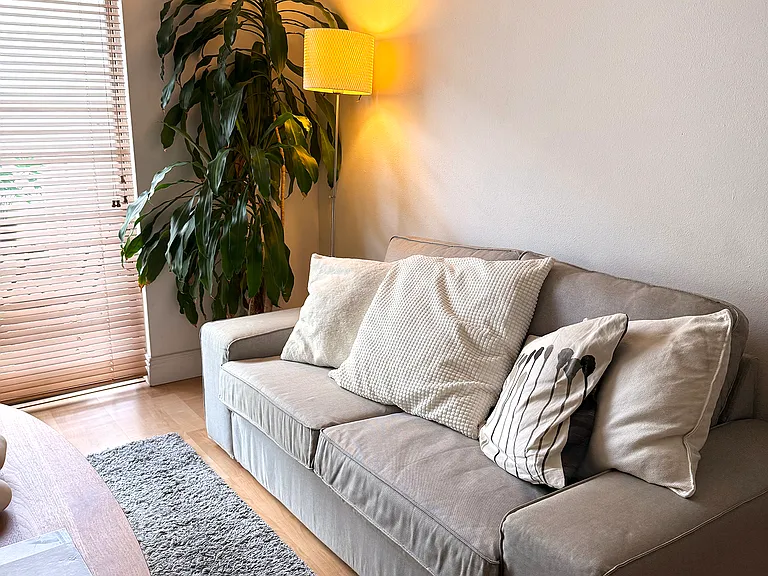 New updated furniture