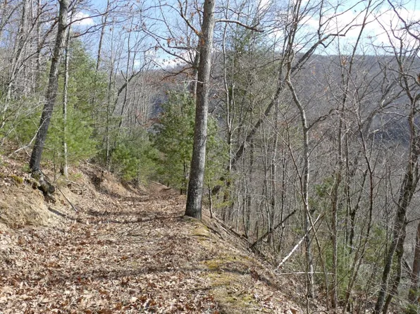 0 Upper Back Creek Rd Lot 1, Monterey, VA 24465