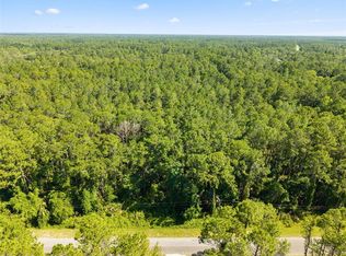 Apricot Ave Lot 16, Eustis, FL 32736