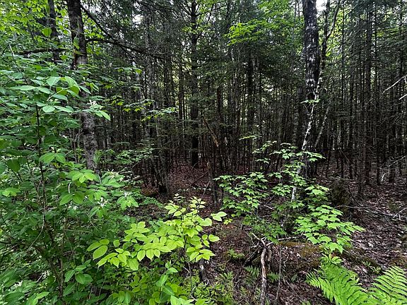3rd image of Lot 9-2 Lilly Drive