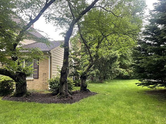 Side yard